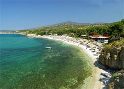 Insula Thassos - Forum
